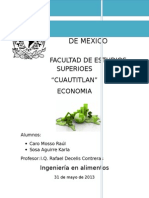 Trabajo Final Economia Decelis