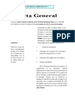 Ejercicio Columnas Acta General y Tabulaciones Libro Diario
