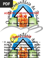 Agente Comunitário de Saúde
