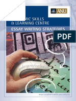 Essay Writing Strategies