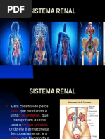 SistemaRenal - Apres.ppt