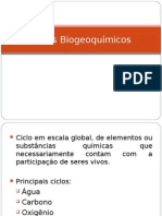 Ciclos Biogeoquímicos