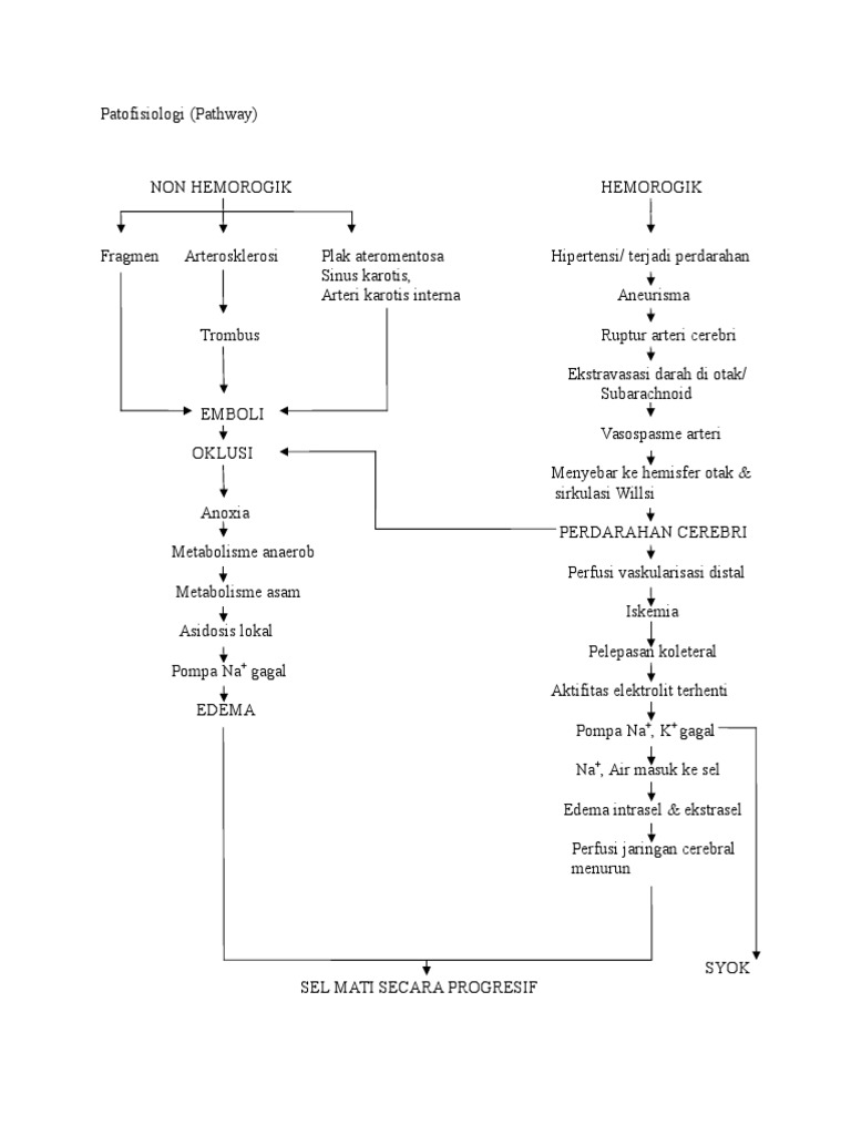 Patofisiologi Stroke: Hemoragik & Iskemik | PDF