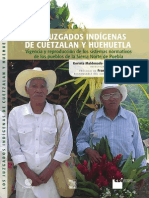 Juzgados Indigenas Cuetzalan Huehuetla.