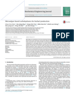 Chen 2013 Biochemical Engineering Journal