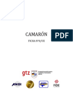 8-camarn.pdf