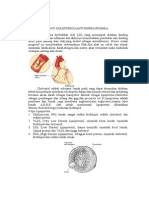 ANTI Hiperlipidemia