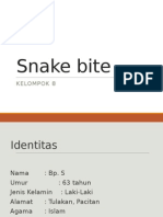 Snake Bite.
