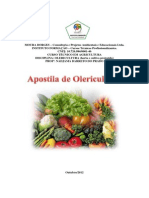 Apostila de Olericultura Nad PDF