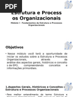 Estrutura e Processos organizacionais