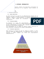 Trabajo Final Admón, Niveles Jeràrquicos