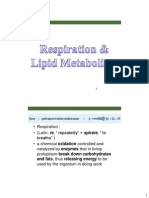 Lect7 Respiration