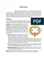 01 Introduccion Mitosis y Meiosis