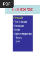 cloroplasto-Imatges-3