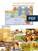 Biomoléculas Orgánicas - Trabajo.