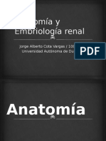 Anatomía y Embriología Renal