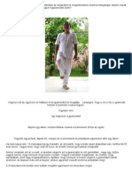 Jin Ji Du Li Gyakorlat PDF