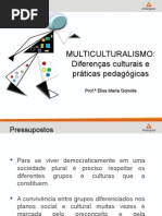 Slides Multiculturalismo-16!03!2015 Ppt