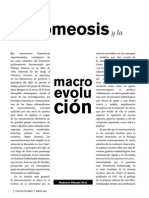 Macroevolucion PDF