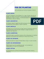 Tipos de Plantas