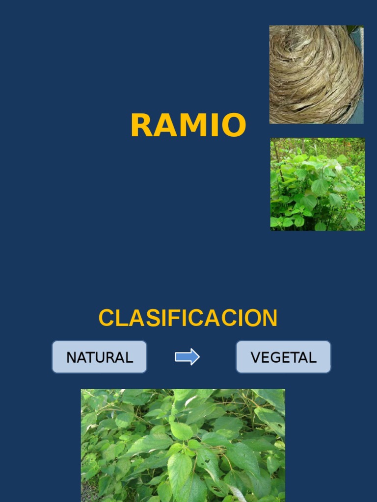 Fibras Ramio y Viscosa | PDF | Seda | Textiles