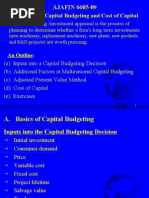 International Capital Budgeting and Cost of Capital 