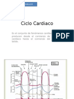 Ciclo Cardiaco1