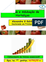 Nutrição e Adubação de Hortaliças 