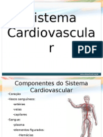 P0001 File Sistema Cardiovascular