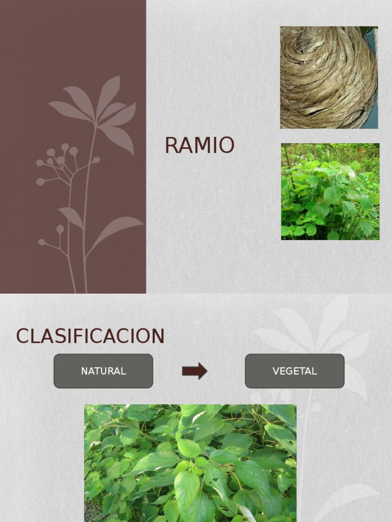 RAMIO | PDF | Tecnología