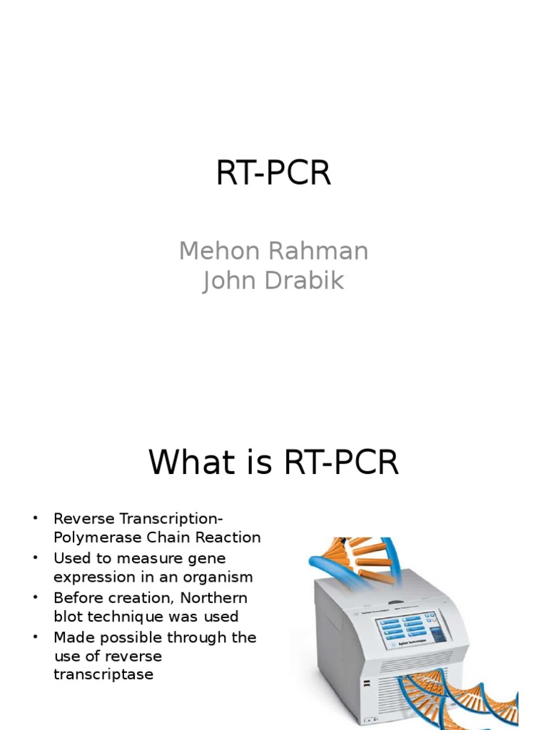 Understanding RT-PCR for Gene Expression | PDF | Science & Mathematics