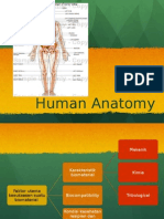 Biomaterial 1 (Human Anatomy)