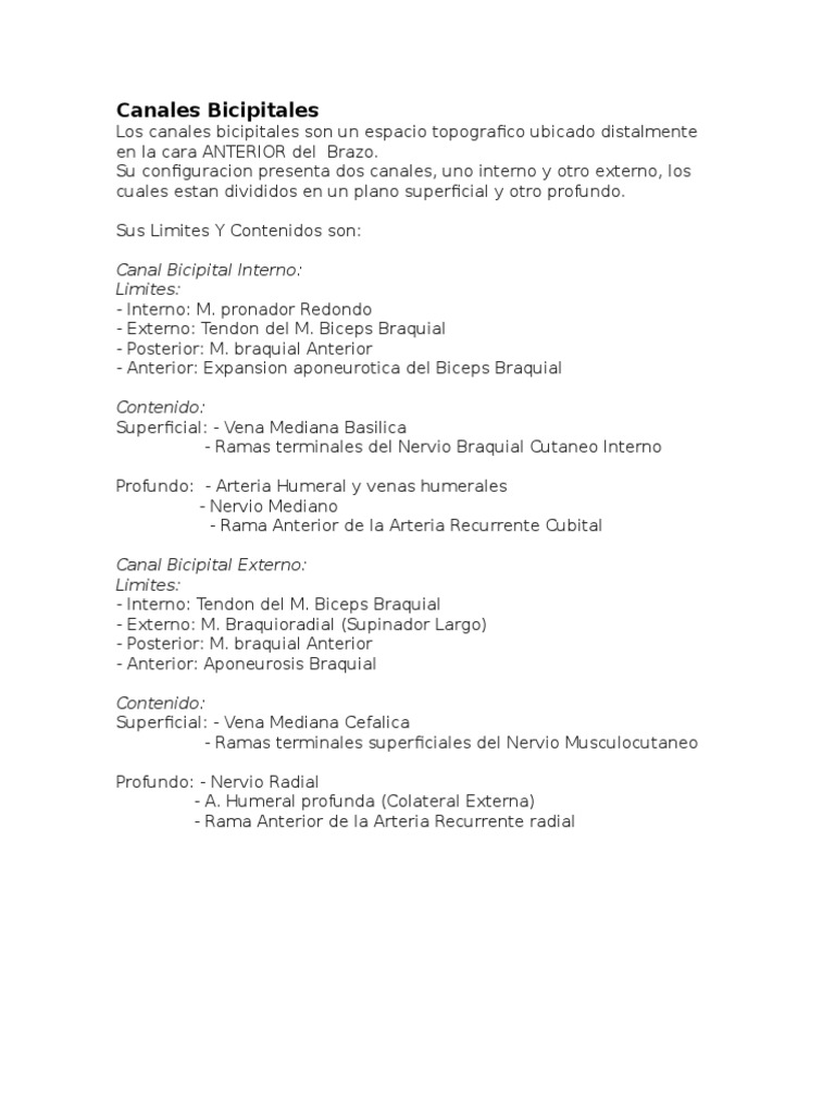 canales-bicipitales-l-mites-y-contenido-pdf