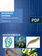 3-Media Sistem Ekskresi Hewan