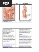 Download INGUINAL HERNIA and Umbilical hernia by Kath SN25985576 doc pdf