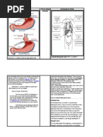 Download Hiatal and Diaphragmatic Hernia by Kath SN25985809 doc pdf