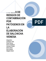 AnÁlisis de Riesgos de ContaminaciÓn Por PatÓgenos