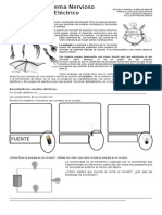 Guia 13 Analogía - Sistema Nervioso-Circuito