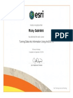 Esri 3