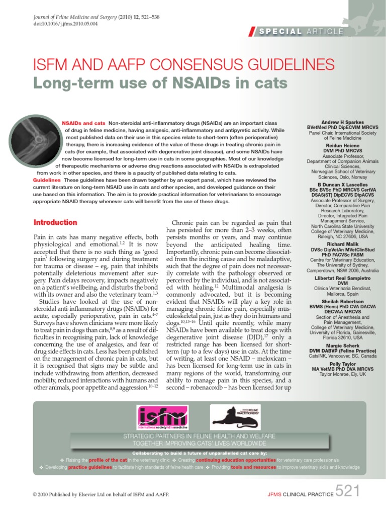 Nsaid in Cats Nonsteroidal Anti Inflammatory Drug Chronic Kidney