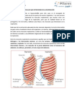 La RespiraciON