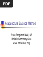 Dr. Tan's Balance Method | PDF | Human Leg | Acupuncture