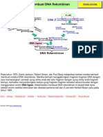 Ligase PDF