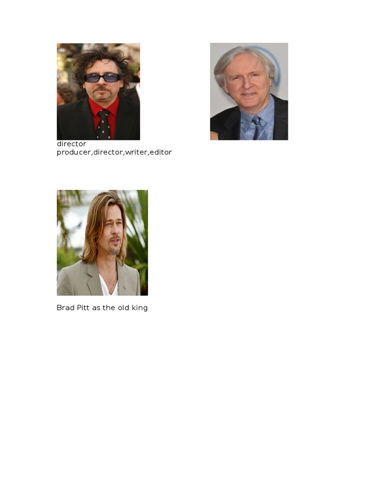 Director Producer | PDF