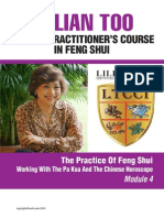 Module4 Feng Shui