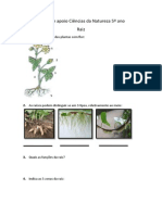 Fichas de Apoio Ciências Da Natureza 5º Ano - Plantas