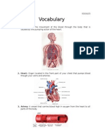 Vocabulary: 1. Circulation: The Movement of The Blood Through The Body That Is