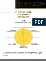 Rueda de La Vida Sugerenicas Tips y Planificadores