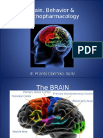 Brain, Behavior & Psychopharmacology