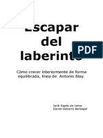 Escapar Del Laberinto - Jordi Sapes de Lema